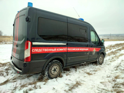 В Тольятти возбуждено уголовное дело по факту причинения вреда здоровью несовершеннолетнего в торговом центре